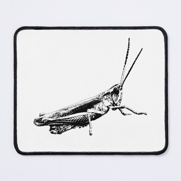 Item preview, Grasshopper graphic designed and sold by RalfkLang.