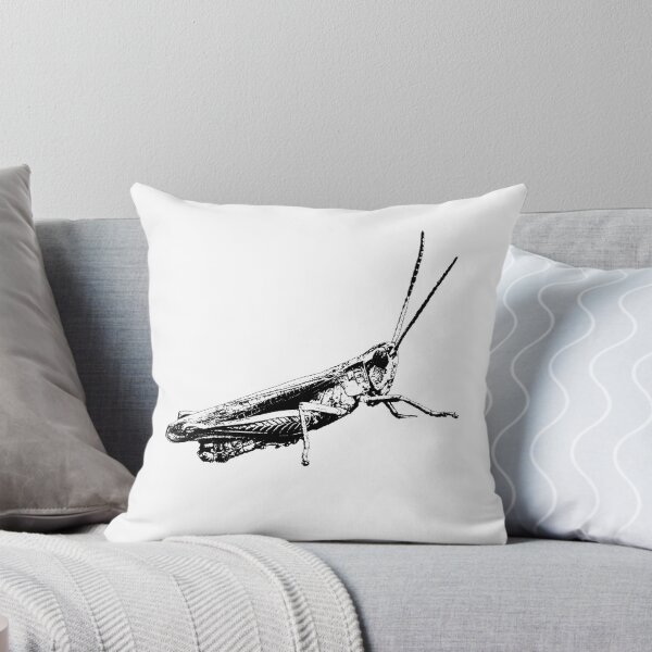 Item preview, Grasshopper graphic designed and sold by RalfkLang.