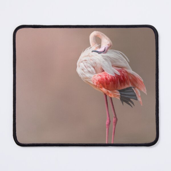 Item preview, Morning Preening Ritual designed and sold by CSandersArt.