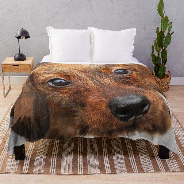 Item preview, "Peach Basket Ketch-em-Up" -Dachshund, Puppy, Wire, Wirehair, Hair, Coat, Whiskers, Beard, Brindle, Boar, Red, Dapple, Pattern, Cute, Pet, Dog, Doxie, Baby, Wiener, Hot, Sausage, Hound designed and sold by CanisPicta.