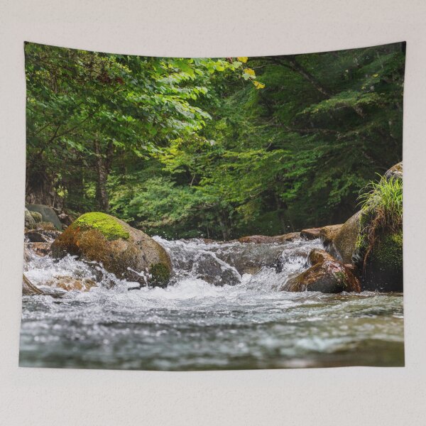 Item preview, Clear Mountain Stream Flowing over Mossy Boulders in Kinomata River, Tochigi, Japan designed and sold by Pix4Japan.