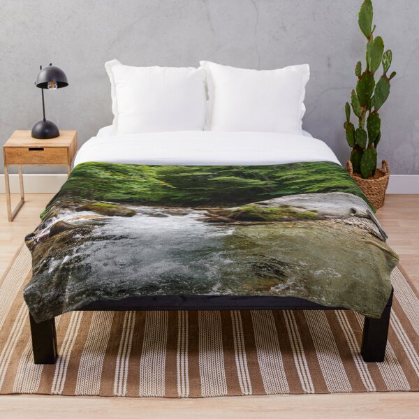 Item preview, Clear Mountain Stream Flowing over Mossy Boulders in Kinomata River, Tochigi, Japan designed and sold by Pix4Japan.