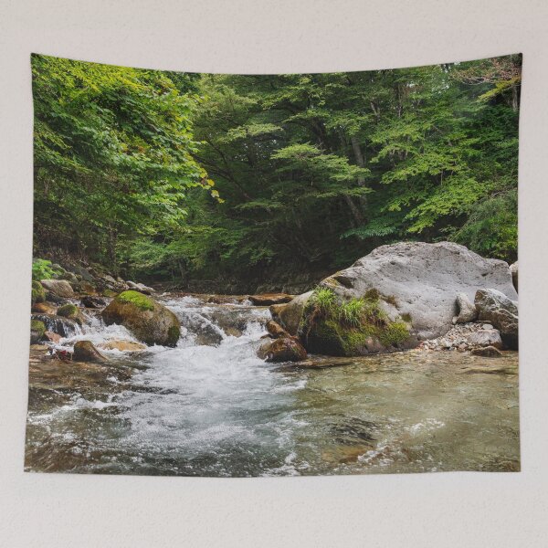 Item preview, Clear Mountain Stream Flowing over Mossy Boulders in Kinomata River, Tochigi, Japan designed and sold by Pix4Japan.