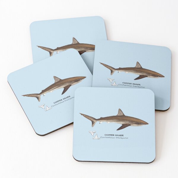 Item preview, COPPER SHARK-Carcharhinus brachyurus (name and teeth) designed and sold by BEATRIZ ABAITUA.