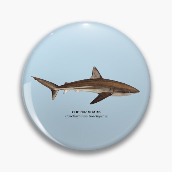 Item preview, COPPER SHARK-Carcharhinus brachyurus (name) designed and sold by BEATRIZ ABAITUA.