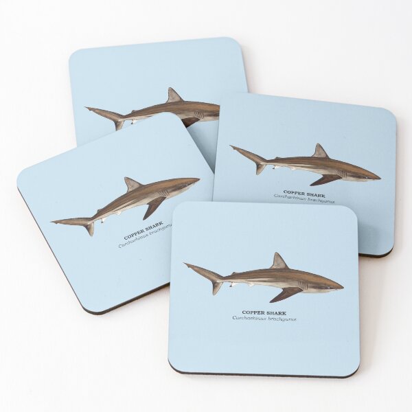 Item preview, COPPER SHARK-Carcharhinus brachyurus (name) designed and sold by BEATRIZ ABAITUA.