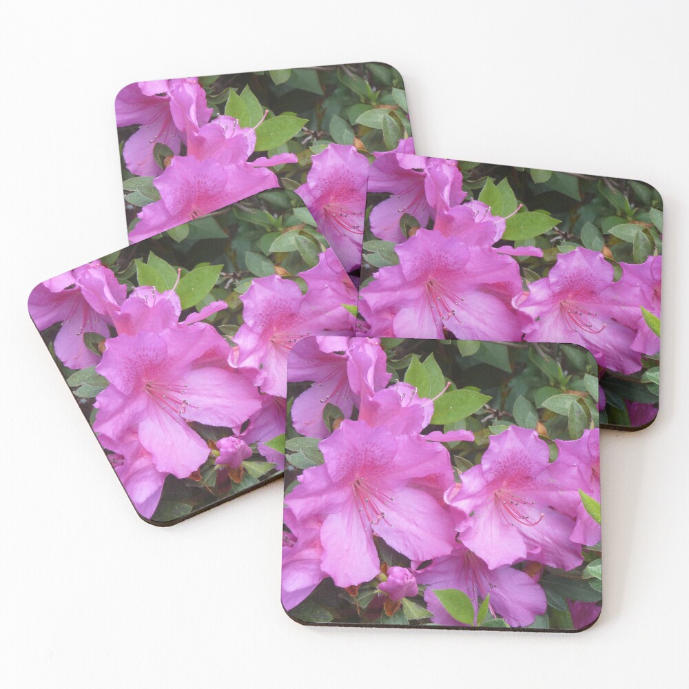Item preview, Coasters (Set of 4) designed and sold by WORKABLE.