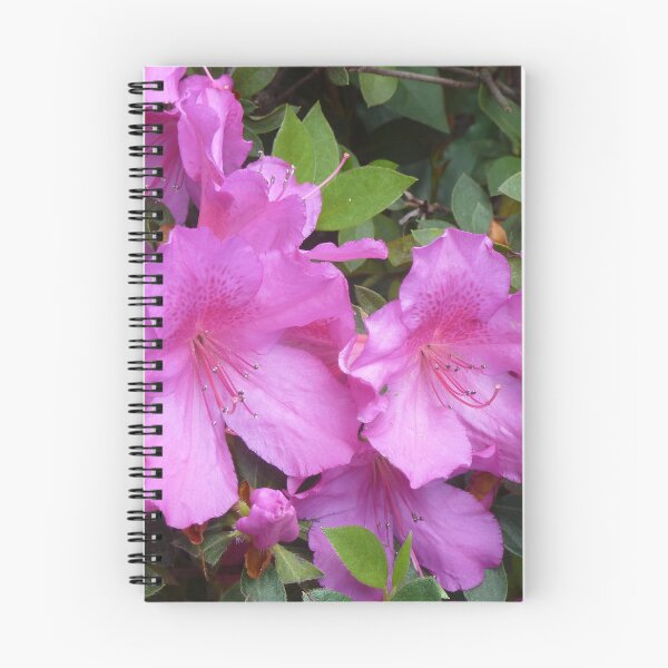 Item preview, Azalea designed and sold by Judy Geller.