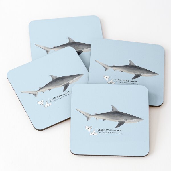 Item preview, BLACK NOSE SHARK-Carcharhinus acronotus (name and teeth) designed and sold by BEATRIZ ABAITUA.