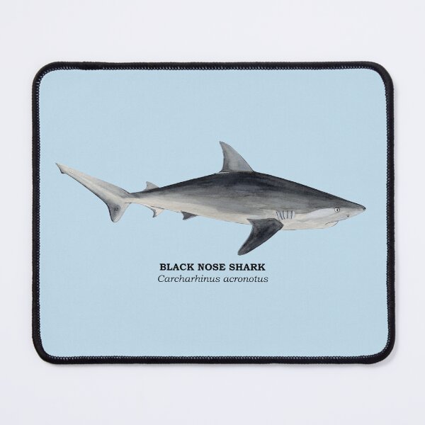 Item preview, BLACK NOSE SHARK-Carcharhinus acronotus (name) designed and sold by BEATRIZ ABAITUA.