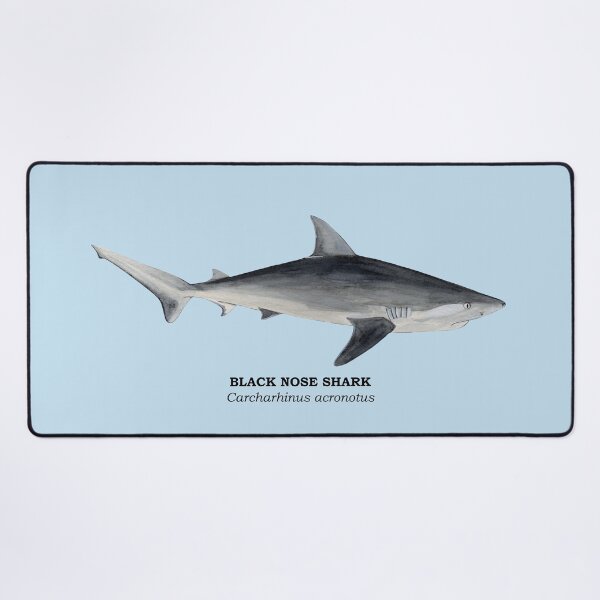 Item preview, BLACK NOSE SHARK-Carcharhinus acronotus (name) designed and sold by BEATRIZ ABAITUA.