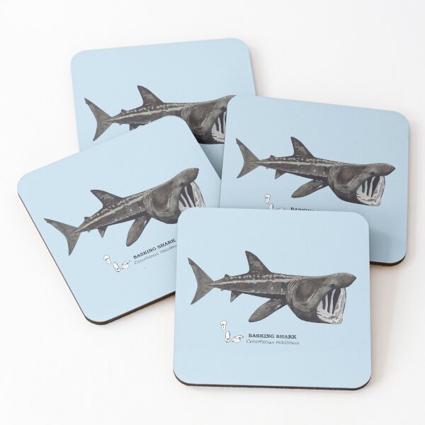 Item preview, BASKING SHARK-Cetorhinus maximus (name and teeth) designed and sold by BEATRIZ ABAITUA.