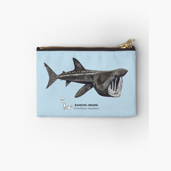 Item preview, BASKING SHARK-Cetorhinus maximus (name and teeth) designed and sold by BEATRIZ ABAITUA.