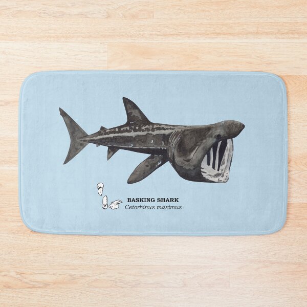 Item preview, BASKING SHARK-Cetorhinus maximus (name and teeth) designed and sold by BEATRIZ ABAITUA.