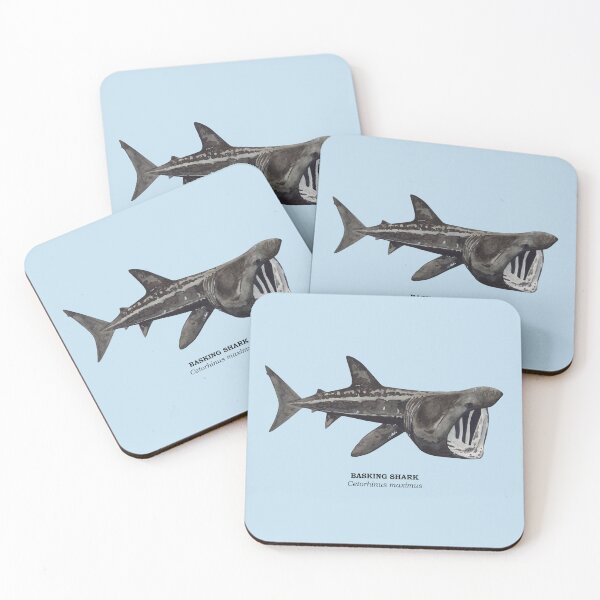 Item preview, BASKING SHARK-Cetorhinus maximus (name) designed and sold by BEATRIZ ABAITUA.