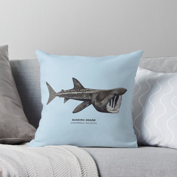 Item preview, BASKING SHARK-Cetorhinus maximus (name) designed and sold by BEATRIZ ABAITUA.