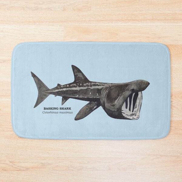 Item preview, BASKING SHARK-Cetorhinus maximus (name) designed and sold by BEATRIZ ABAITUA.