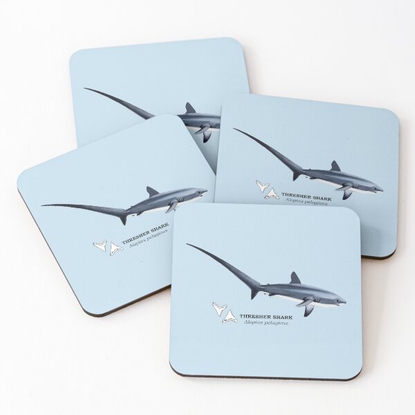 Item preview, THRESHER SHARK-Alopias pelagicus (name and teeth) designed and sold by BEATRIZ ABAITUA.