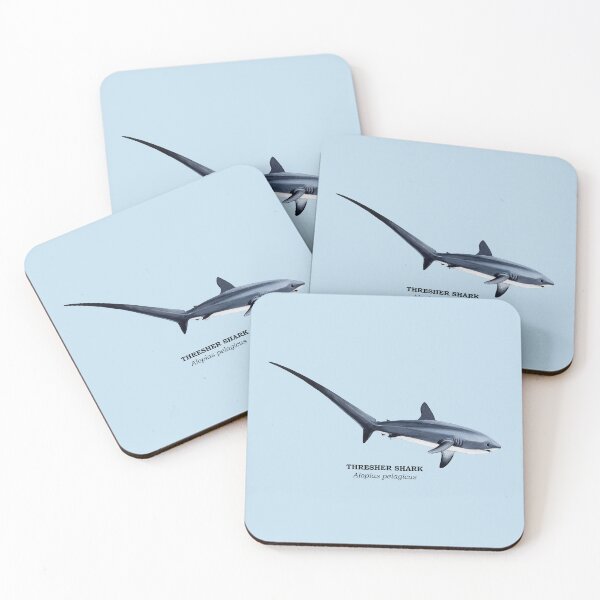 Item preview, THRESHER SHARK-Alopias pelagicus (name) designed and sold by BEATRIZ ABAITUA.