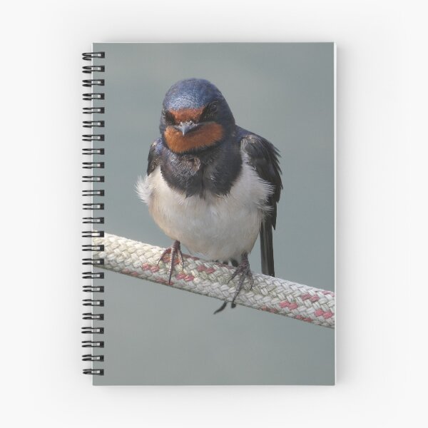 Item preview, Barn swallow designed and sold by nepasunalpaka.