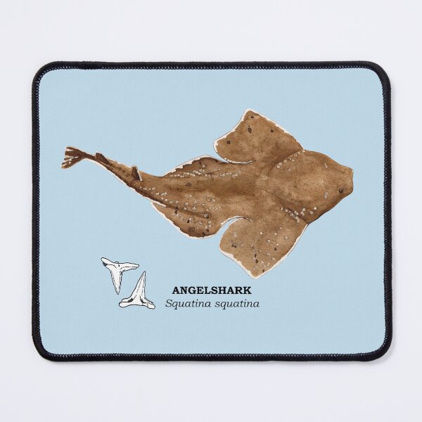 Item preview, ANGELSHARK-Squatina squatina (name and teeth) designed and sold by BEATRIZ ABAITUA.