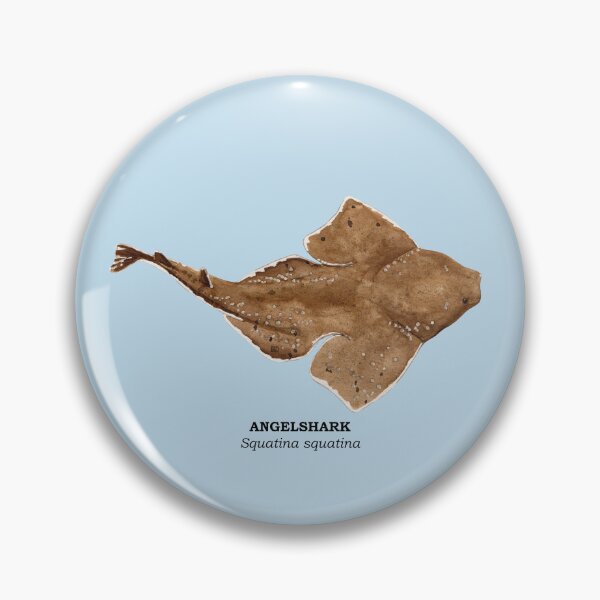 Item preview, ANGELSHARK-Squatina squatina (name) designed and sold by BEATRIZ ABAITUA.