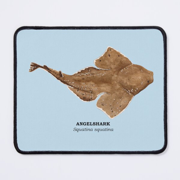Item preview, ANGELSHARK-Squatina squatina (name) designed and sold by BEATRIZ ABAITUA.
