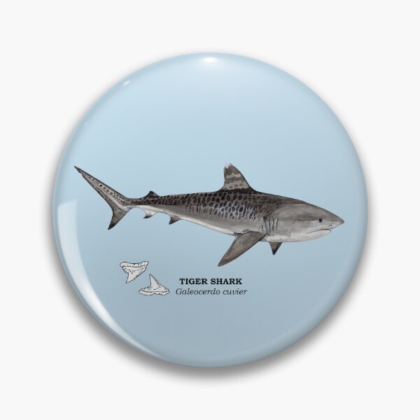 Item preview, TIGER SHARK-Galeocerdo cuvier (name and teeth) designed and sold by BEATRIZ ABAITUA.