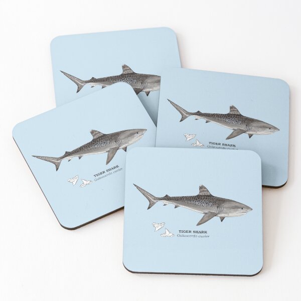 Item preview, TIGER SHARK-Galeocerdo cuvier (name and teeth) designed and sold by BEATRIZ ABAITUA.