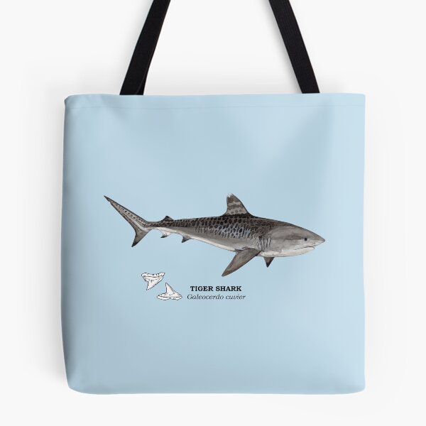 Item preview, TIGER SHARK-Galeocerdo cuvier (name and teeth) designed and sold by BEATRIZ ABAITUA.