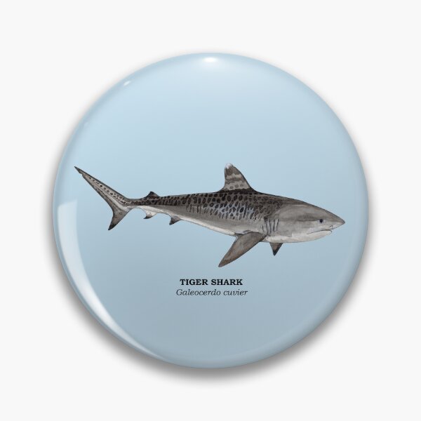 Item preview, TIGER SHARK-Galeocerdo cuvier (name) designed and sold by BEATRIZ ABAITUA.