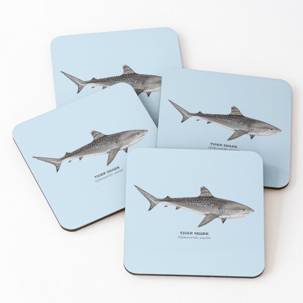 Item preview, TIGER SHARK-Galeocerdo cuvier (name) designed and sold by BEATRIZ ABAITUA.