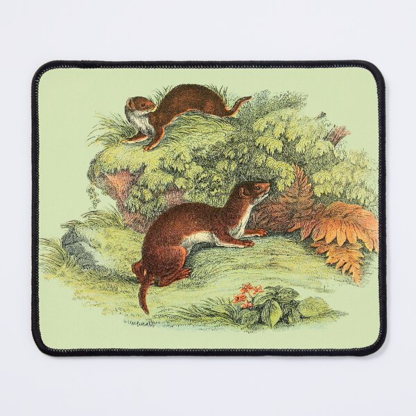 Item preview, vintage weasel in nature designed and sold by okapia concolor.