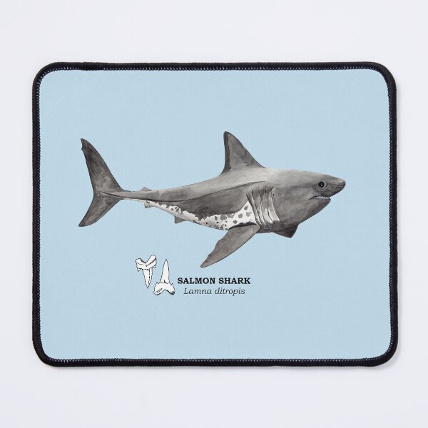Item preview, SALMON SHARK-Lamna ditropis (name and teeth) designed and sold by BEATRIZ ABAITUA.