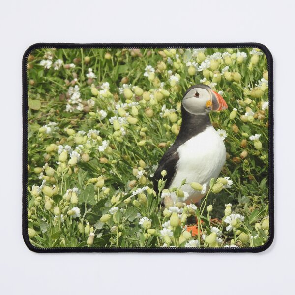 Item preview, Atlantic Puffin amongst white Sea Campion flowers designed and sold by TwistedClassics.