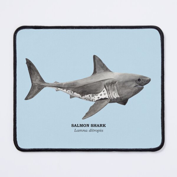 Item preview, SALMON SHARK-Lamna ditropis (name) designed and sold by BEATRIZ ABAITUA.