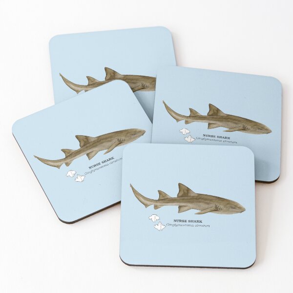 Item preview, NURSE SHARK-Ginglymostoma cirratum (name and teeth) designed and sold by BEATRIZ ABAITUA.