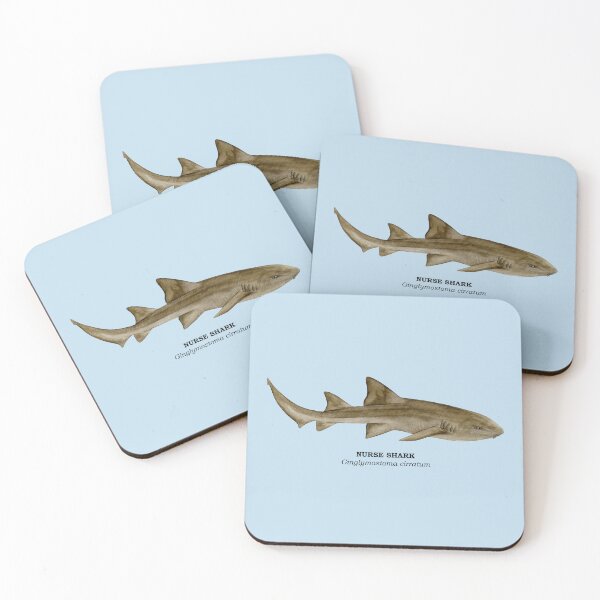 Item preview, NURSE SHARK-Ginglymostoma cirratum (name) designed and sold by BEATRIZ ABAITUA.