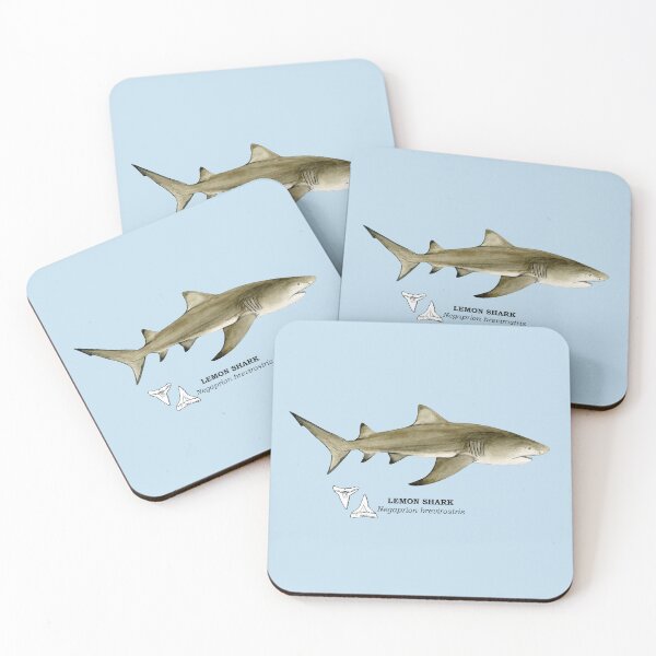 Item preview, LEMON SHARK-Negaprion brevirostris (name and teeth) designed and sold by BEATRIZ ABAITUA.