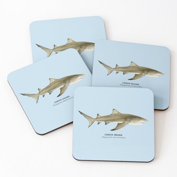 Item preview, LEMON SHARK-Negaprion brevirostris (name) designed and sold by BEATRIZ ABAITUA.