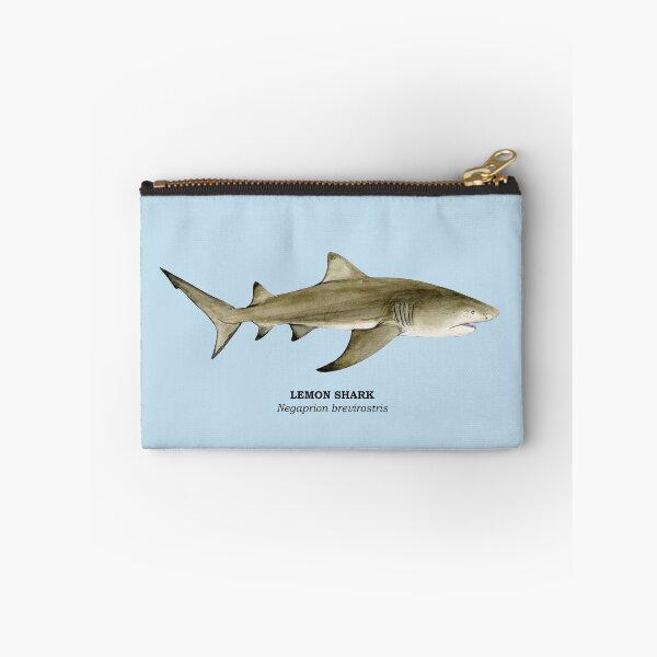 Item preview, LEMON SHARK-Negaprion brevirostris (name) designed and sold by BEATRIZ ABAITUA.