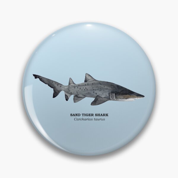 Item preview, SAND TIGER SHARK-Carcharias taurus (name) designed and sold by BEATRIZ ABAITUA.