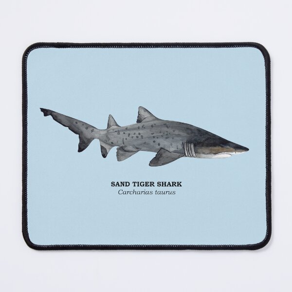 Item preview, SAND TIGER SHARK-Carcharias taurus (name) designed and sold by BEATRIZ ABAITUA.