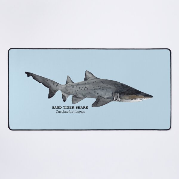 Item preview, SAND TIGER SHARK-Carcharias taurus (name) designed and sold by BEATRIZ ABAITUA.