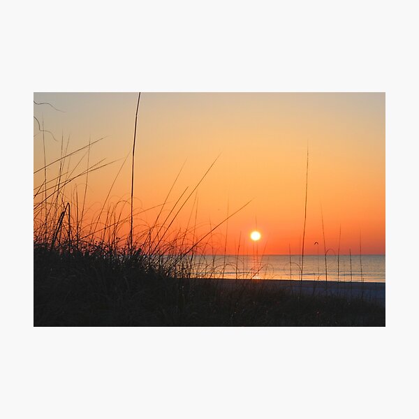 Good Day Sunshine Photographic Print