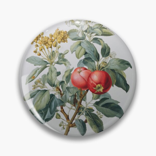Item preview, Quisqualis Pimeleae Vintage Botanical Illustration with red fruits designed and sold by imaginariumlab.