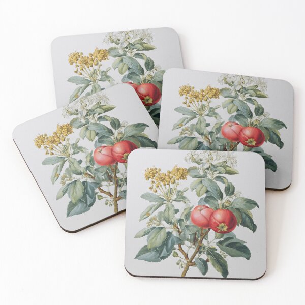 Item preview, Quisqualis Pimeleae Vintage Botanical Illustration with red fruits designed and sold by imaginariumlab.