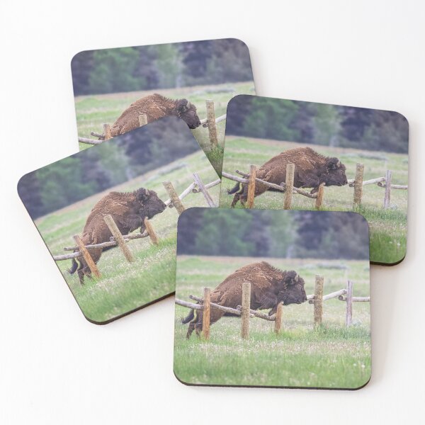 Item preview, Bison Leaps A Fence Grand Teton NP designed and sold by PhotoArt by Joan Carroll.