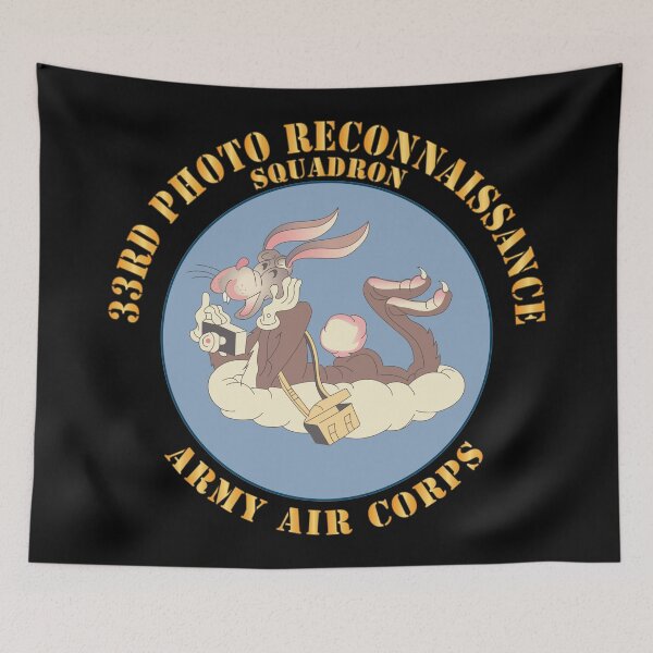 Item preview, AAC - 33rd Photo Reconnaissance Squadron - WWII X 300 designed and sold by Military Insignia Products.