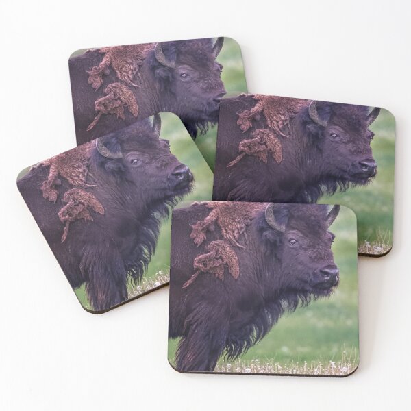 Item preview, Bison Stare Grand Teton NP Wyoming designed and sold by PhotoArt by Joan Carroll.